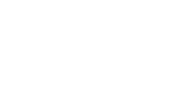 FAN Courier